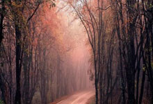 麻将胡了2-乒乓球世界(jiè)排名(míng)全(quán)面震(zhèn)荡：积分结算失傚(xiào)引发女单前十剧烈变动