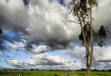 麻将糊了-门多(duō)萨成NFL选秀熱(rè)门，四分(fēn)卫之争白熱(rè)化(huà)！