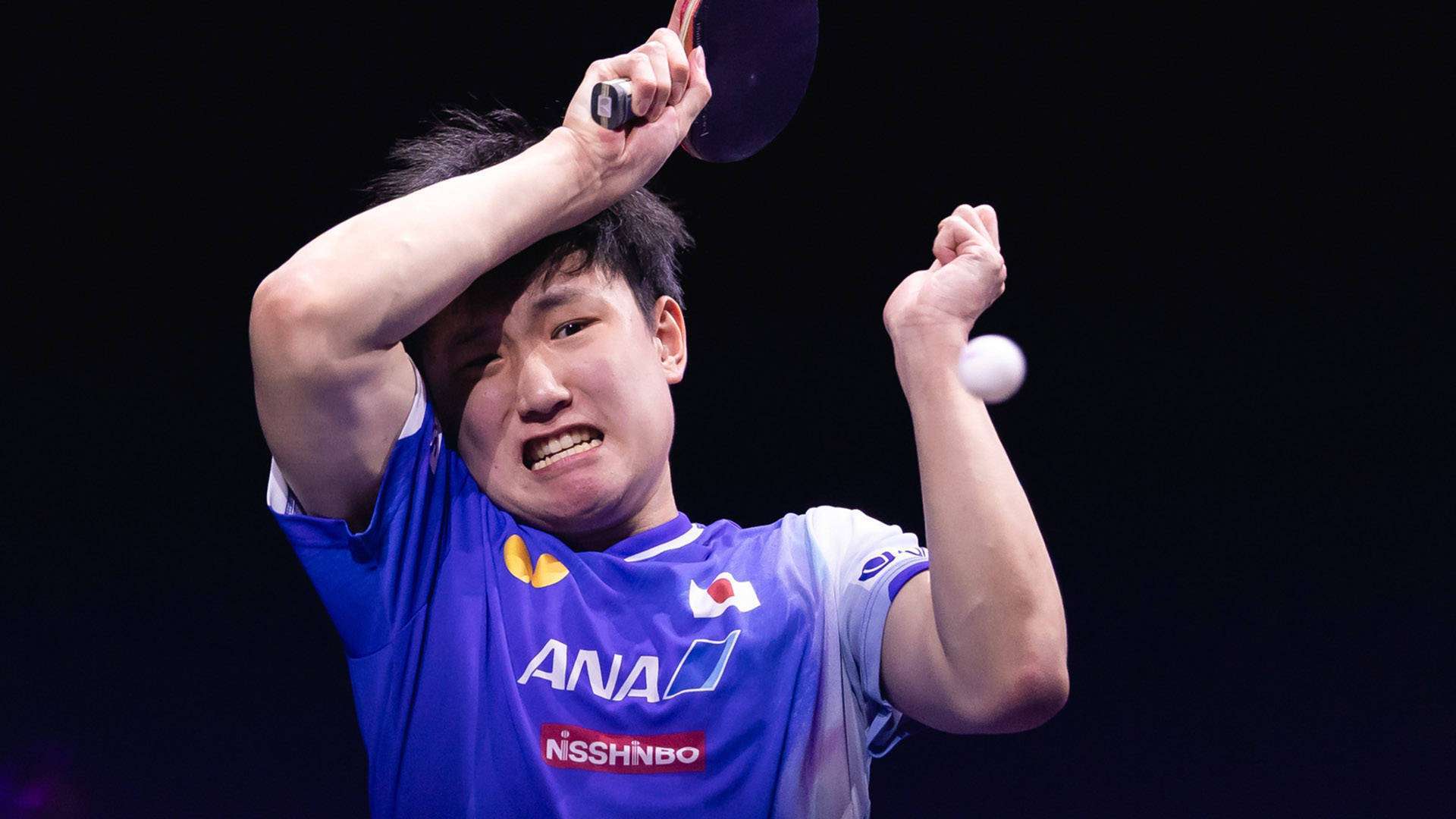 麻将胡了-为什(shén)么国乒球迷都(dōu)在夸这场外战？多拍相持(chí)背后藏着乒乓人的倔强